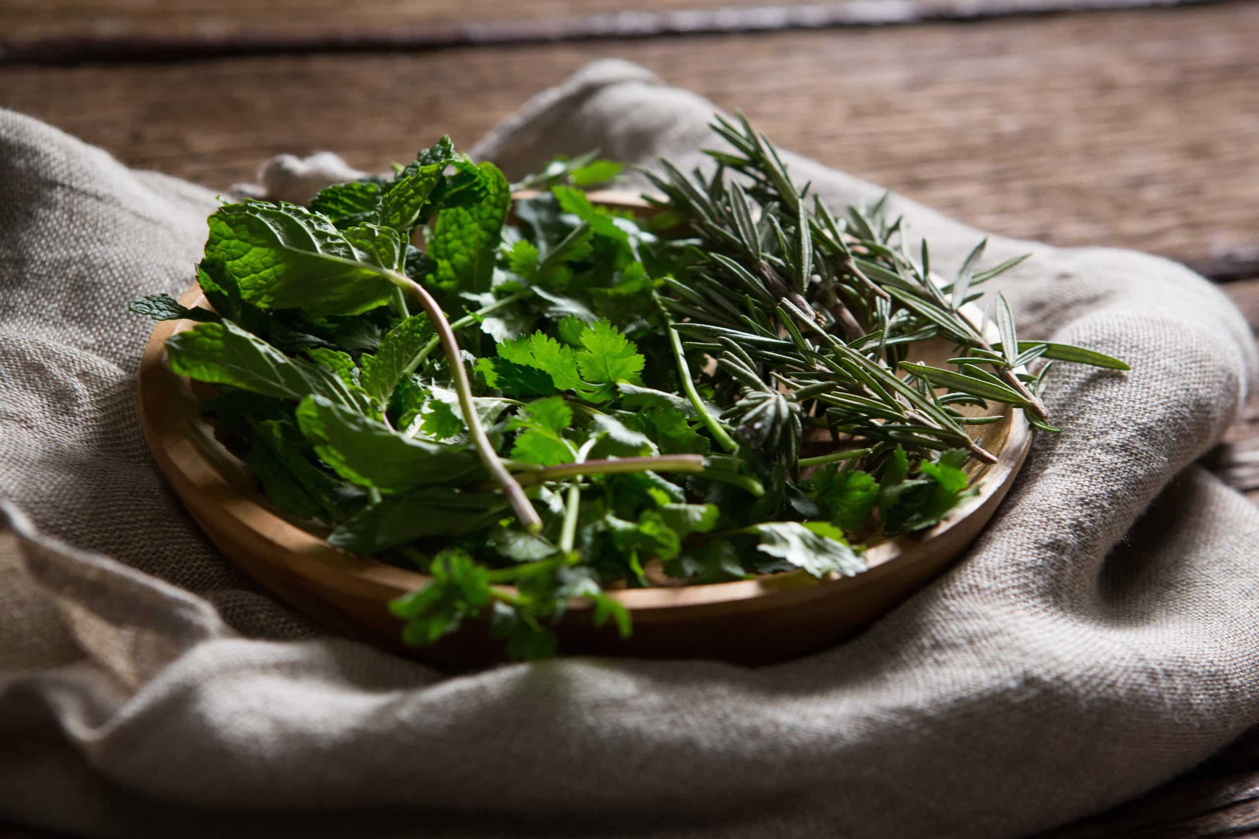 Metodo per conservare le erbe aromatiche per settimane