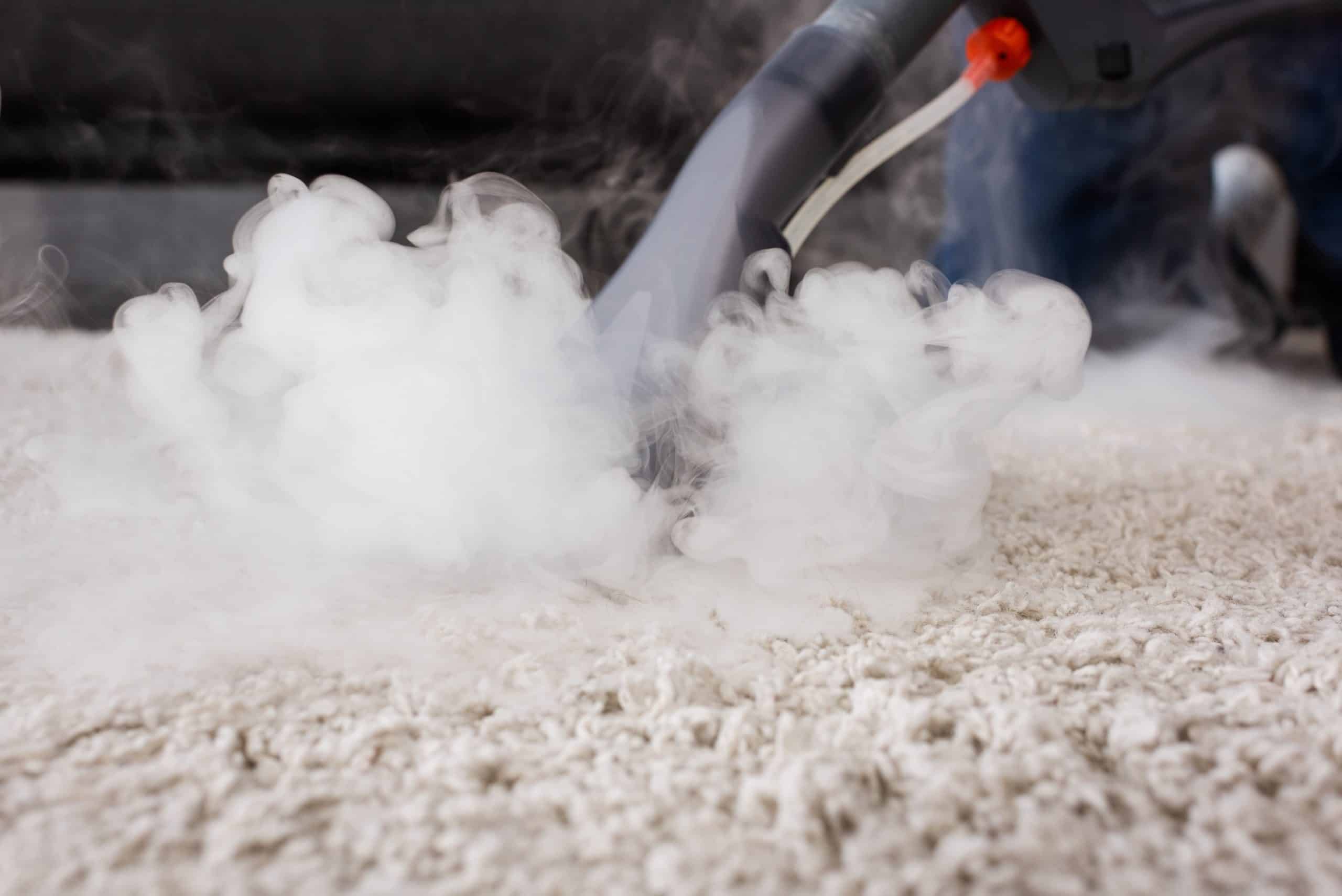 generatore di vapore che pulisce tutta la casa senza detergenti