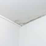 Causa Muffa negli angoli del soffitto