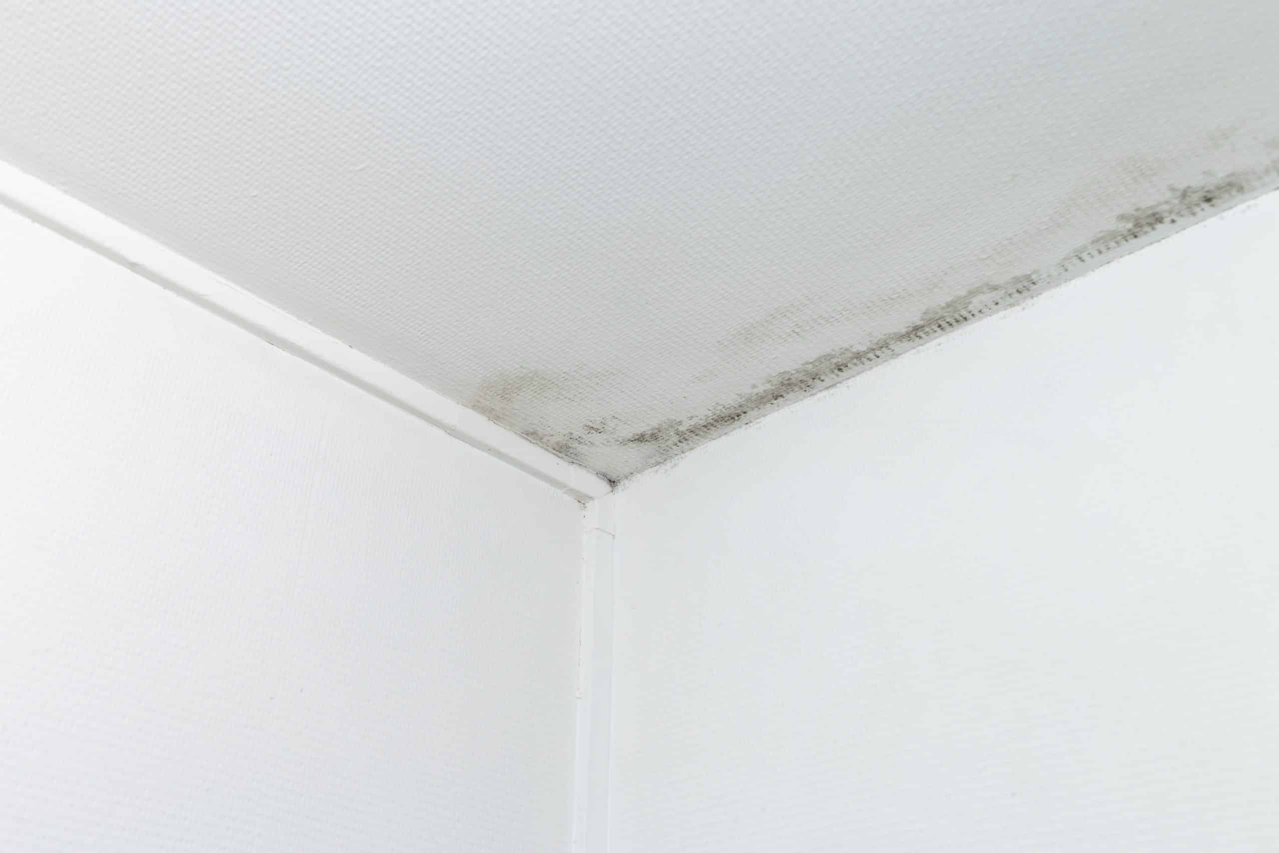 Causa Muffa negli angoli del soffitto
