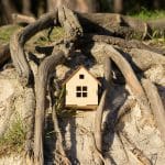 soluzione per evitare che le radici degli alberi danneggino la casa