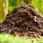 consiglio per eliminare l'odore sgradevole del compost